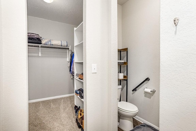 walk in closet featuring carpet flooring