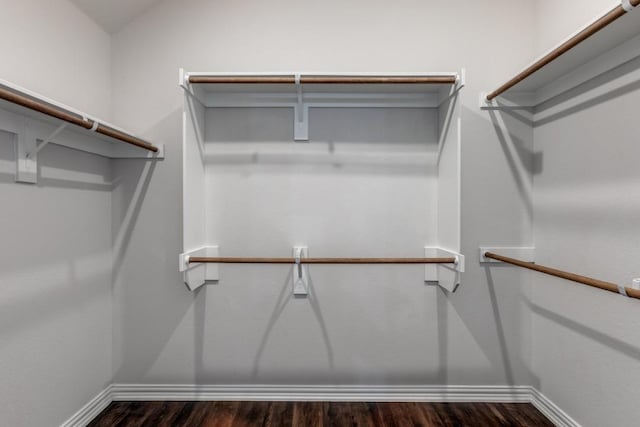 509 Oleander Loop, Buda, TX 78610 - walk in closet featuring dark wood-style flooring