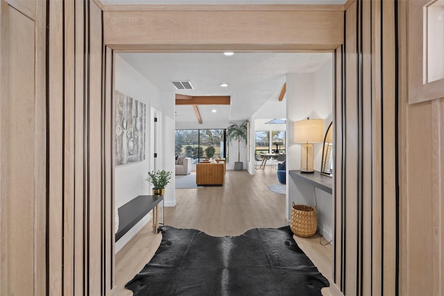 hallway with light wood-type flooring and floor to ceiling windows