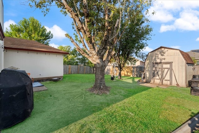 view of yard with a storage shed