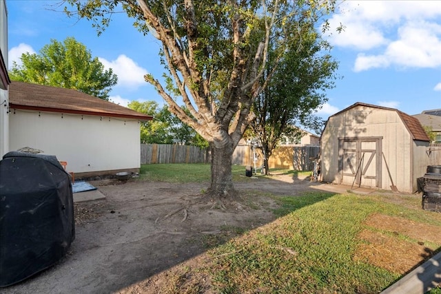 view of yard with a shed