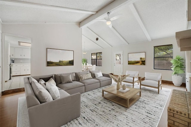 6700 Colina Ln, Austin, TX 78759 - living room featuring ceiling fan, wood finished floors, and a textured ceiling