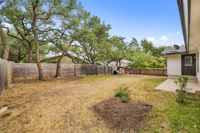 view of yard featuring a patio