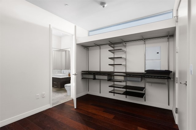 spacious closet featuring sink and dark hardwood / wood-style floors