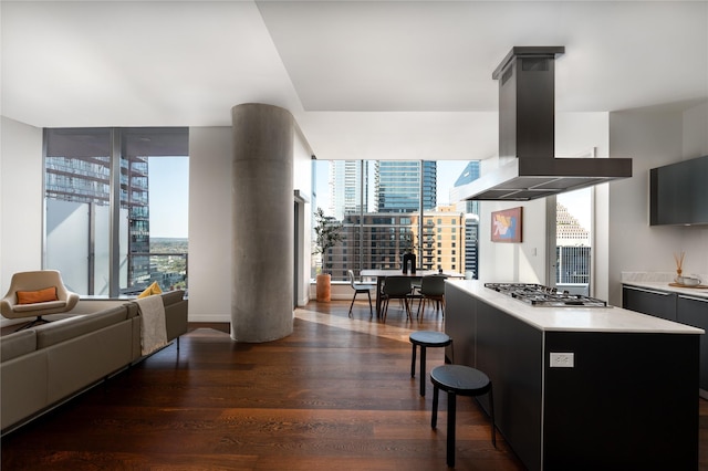 kitchen with dark hardwood / wood-style flooring, island range hood, a healthy amount of sunlight, and stainless steel gas cooktop