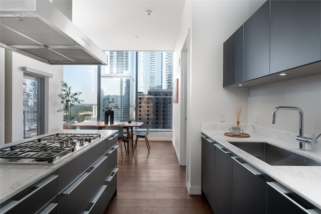 kitchen with appliances with stainless steel finishes, sink, dark wood-type flooring, extractor fan, and plenty of natural light