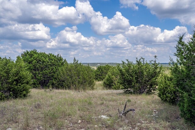 5 Saddle Ridge Dr, Bertram, TX 78605 - photo 5