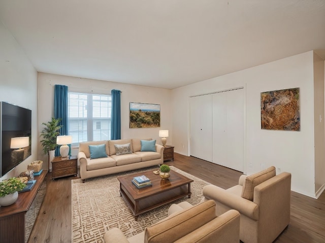 living room featuring hardwood / wood-style floors