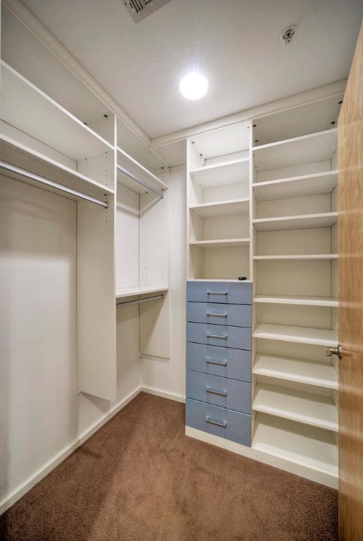 walk in closet featuring carpet