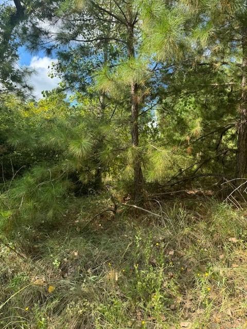 LOT1338 Tahitian Dr, Bastrop, TX 78602
