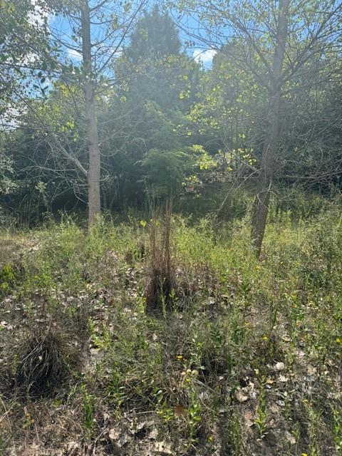LOT1338 Tahitian Dr, Bastrop, TX 78602