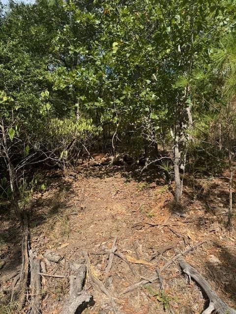 LOT1338 Tahitian Dr, Bastrop, TX 78602