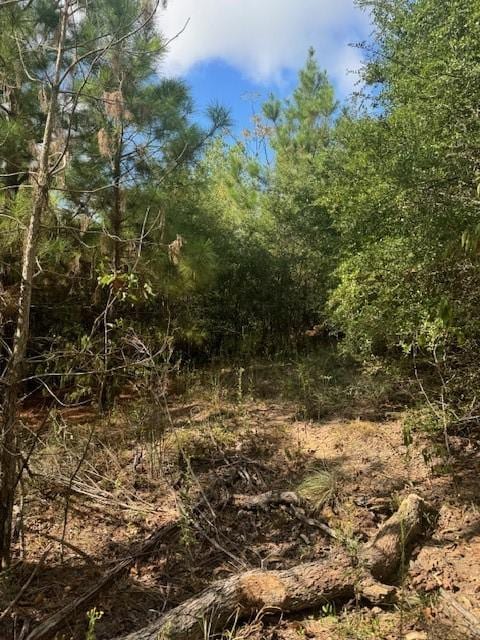 LOT1338 Tahitian Dr, Bastrop, TX 78602