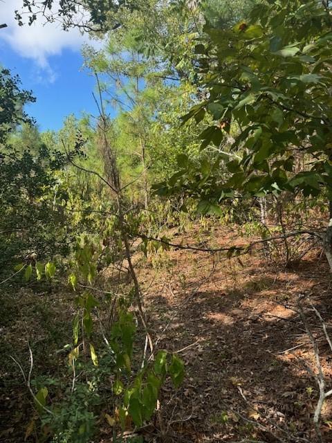 LOT1338 Tahitian Dr, Bastrop, TX 78602