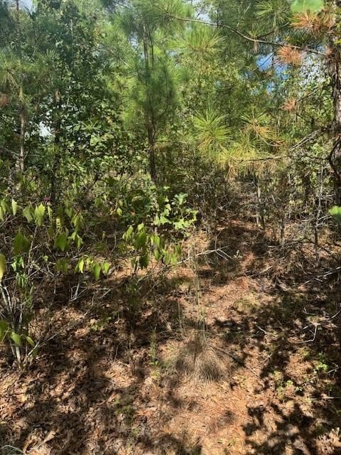 LOT1338 Tahitian Dr, Bastrop, TX 78602