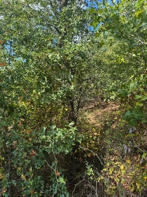 LOT1338 Tahitian Dr, Bastrop, TX 78602
