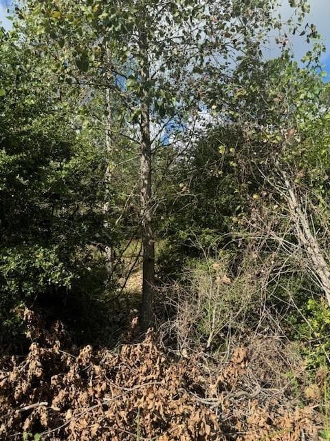 LOT1338 Tahitian Dr, Bastrop, TX 78602