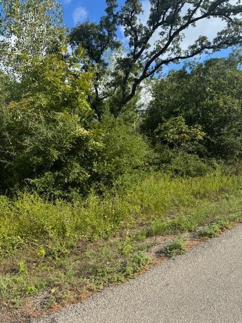 LOT1338 Tahitian Dr, Bastrop, TX 78602