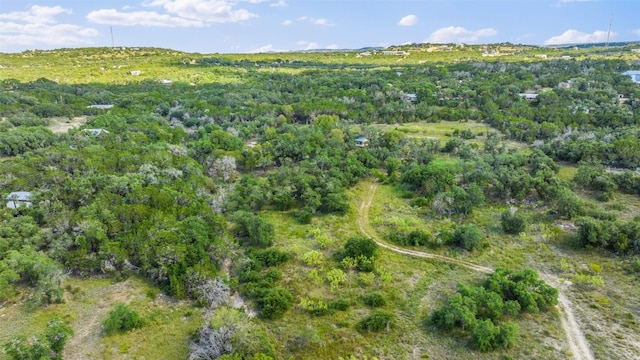 3817 Hart Hollow Dr, Spicewood, TX 78669