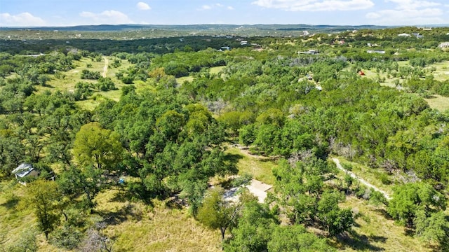 3817 Hart Hollow Dr, Spicewood, TX 78669