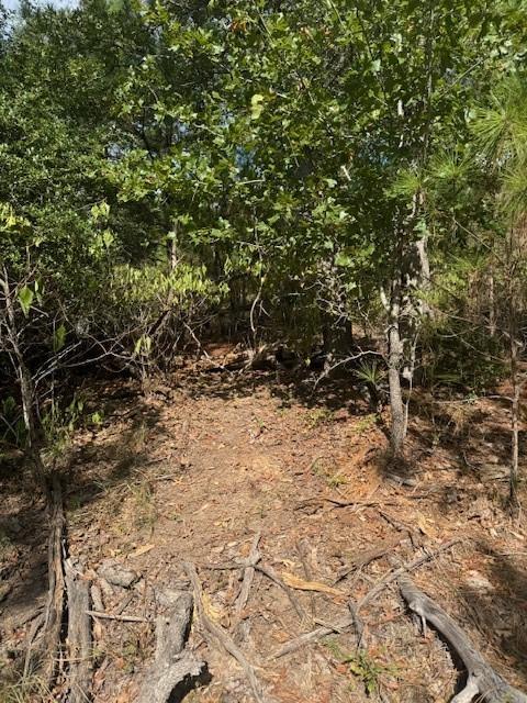 LOT1339 Tahitian Dr, Bastrop, TX 78602