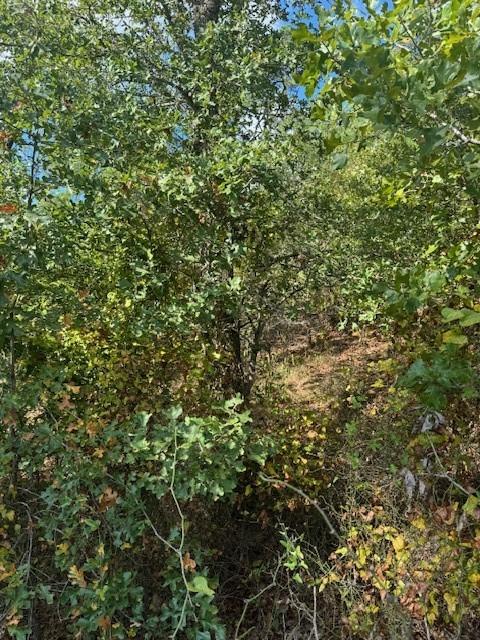 LOT1339 Tahitian Dr, Bastrop, TX 78602