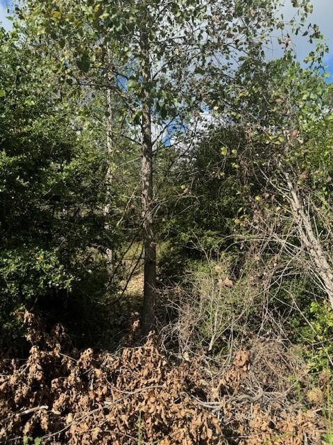 LOT1339 Tahitian Dr, Bastrop, TX 78602
