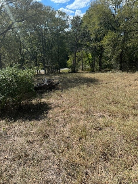 517 Tahitian Dr, Bastrop TX, 78602 land for sale