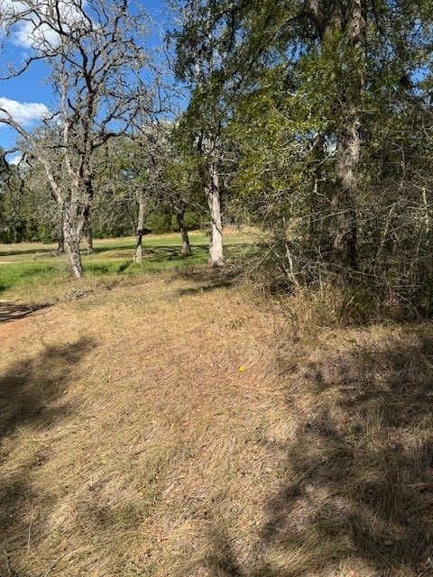 LOT1564 Tahitian Dr, Bastrop TX, 78602 land for sale