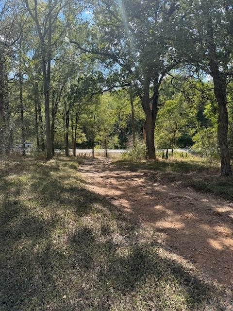 Listing photo 3 for LOT1564 Tahitian Dr, Bastrop TX 78602