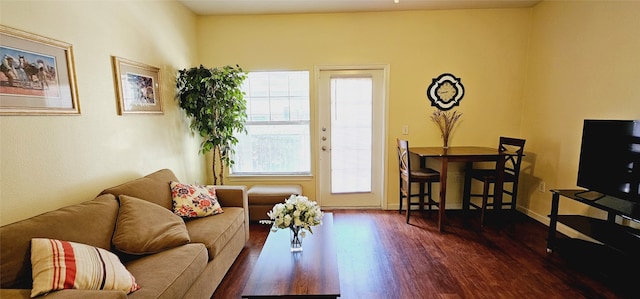 living room featuring dark hardwood / wood-style flooring