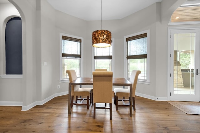 dining area featuring hardwood / wood-style flooring and plenty of natural light