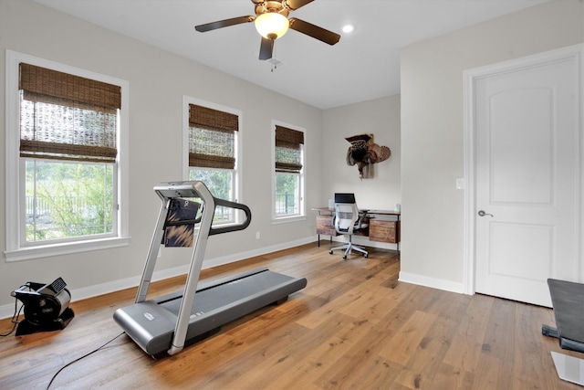 exercise area with ceiling fan and light wood-type flooring