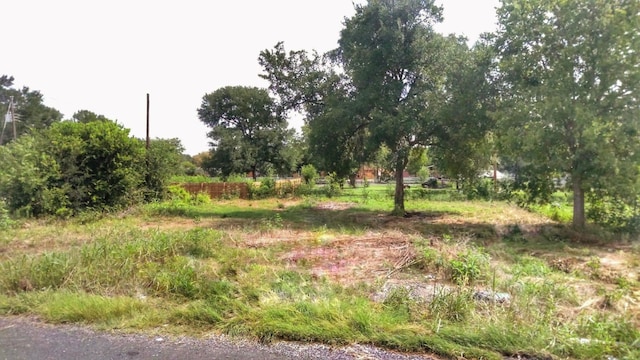 14608 Vevey Dr, Del Valle, TX 78617 - photo 3
