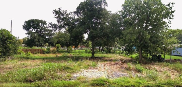 14608 Vevey Dr, Del Valle, TX 78617 - photo 4