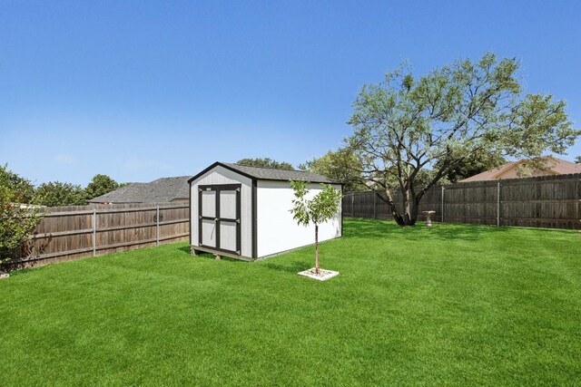 view of yard with a storage shed