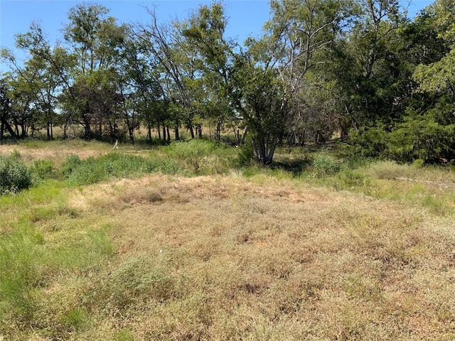 view of local wilderness