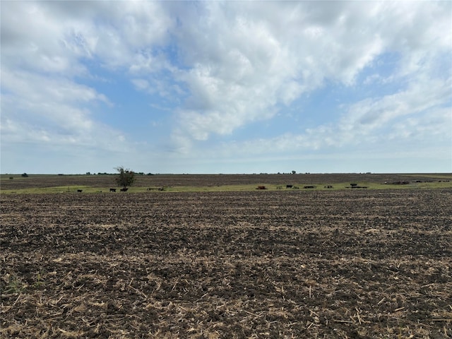 TBD County Road 357, Granger, TX 76530 - photo 18
