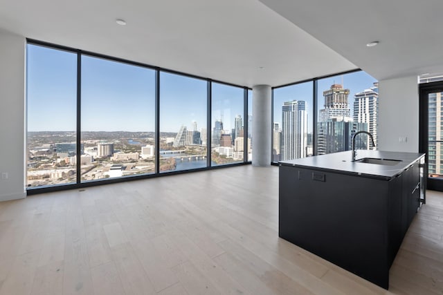 kitchen with light wood-type flooring, a center island with sink, expansive windows, and sink