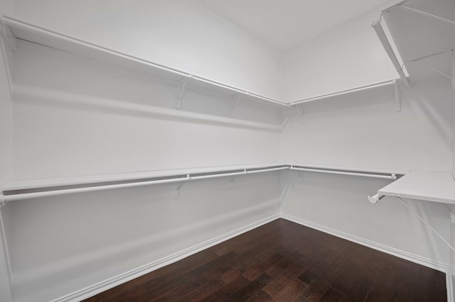 spacious closet featuring hardwood / wood-style flooring