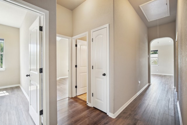 hall featuring dark wood-type flooring and a healthy amount of sunlight