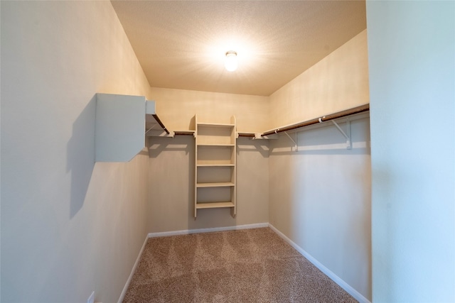 spacious closet with carpet floors