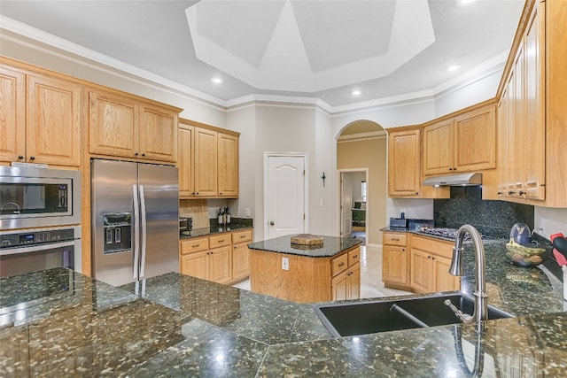 kitchen with stainless steel appliances, a raised ceiling, a kitchen island, sink, and dark stone countertops