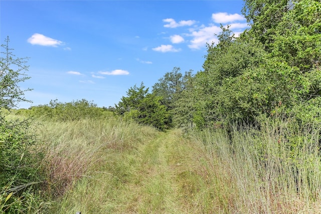 view of landscape