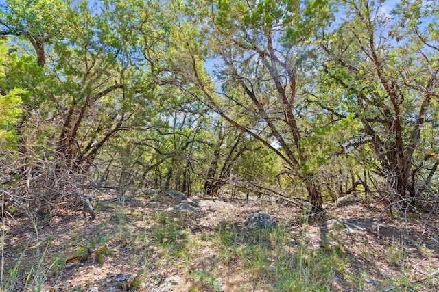 635 Ivean Pearson Rd, Lago Vista, TX 78645