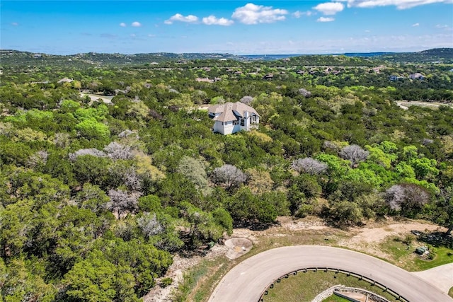 6808 Sunset Ridge Way, Jonestown, TX 78645 - photo 4