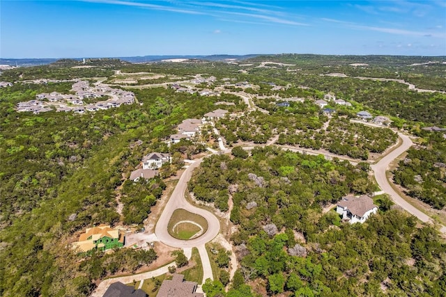 6808 Sunset Ridge Way, Jonestown, TX 78645 - photo 10