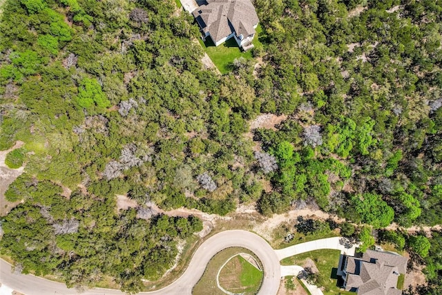 6808 Sunset Ridge Way, Jonestown, TX 78645 - photo 14