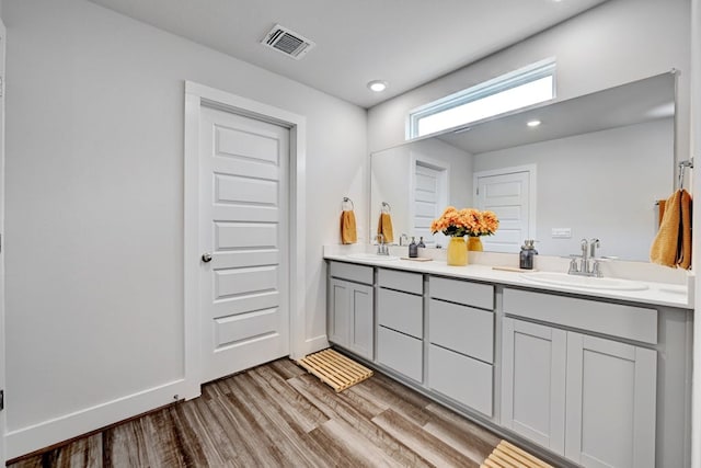 bathroom with wood-type flooring and vanity