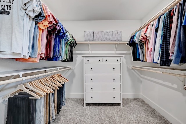 spacious closet with light carpet